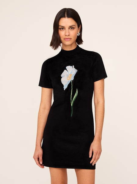 Poppy lace mini dress