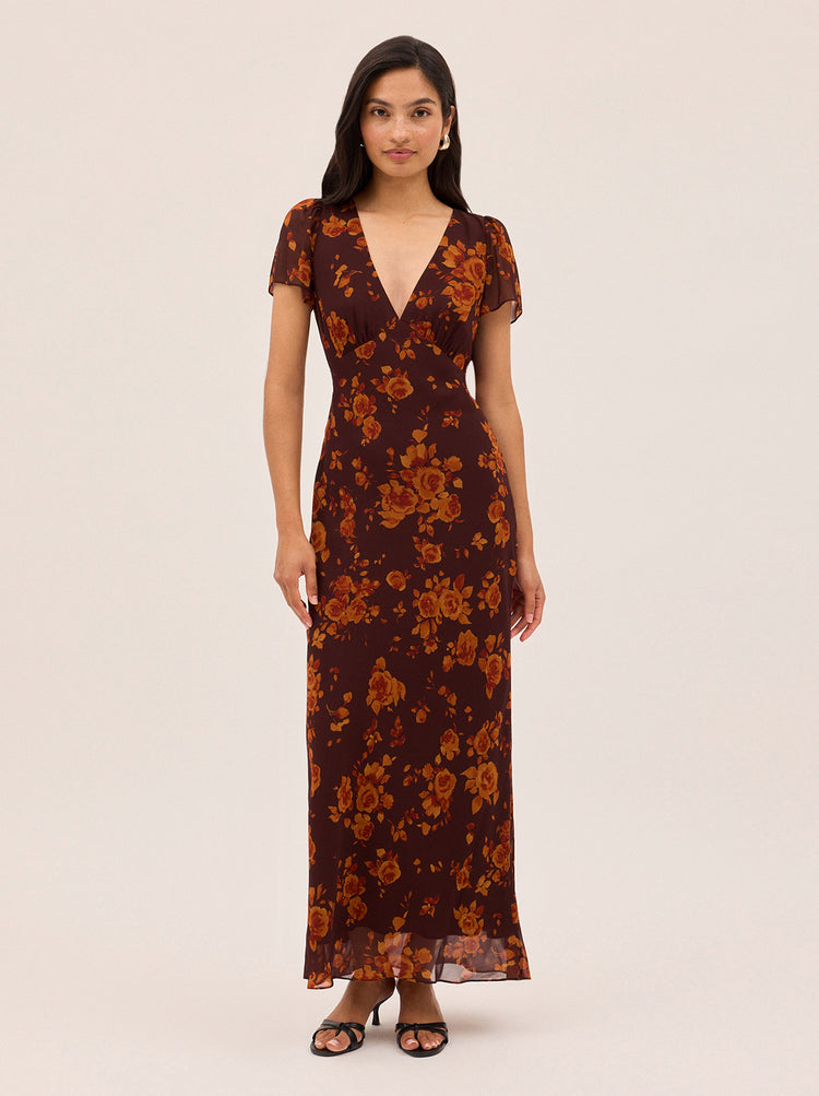 Talia Autumn Rose Print Dress