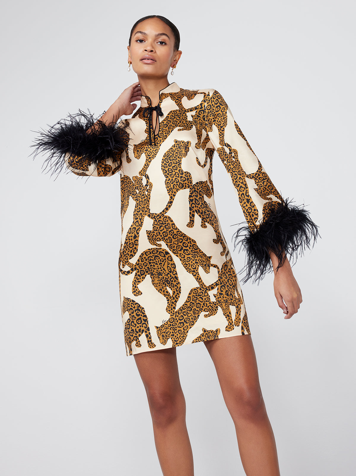 Leopard hotsell zara dress