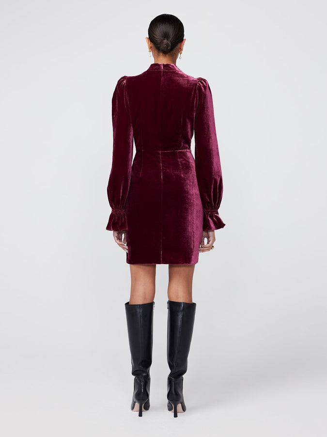 Valentina Burgundy Velvet Mini Dress
